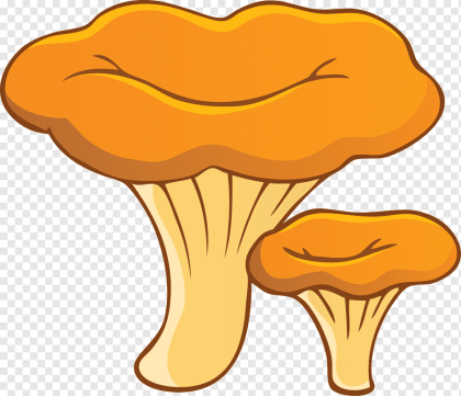 Гриб лисичка Съедобный гриб Аспен, гриб, еда, осиновый гриб, руссула png |  PNGWing